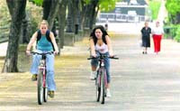 Montar en bici puede reducir la sensibilidad genital. Montar en bici puede reducir la sensibilidad genital.