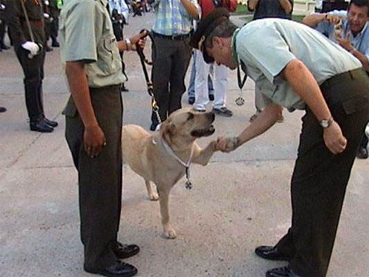 La perrita Ágata La perrita Ágata