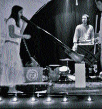 Flamenco indígena hecho en París Flamenco indígena hecho en París
