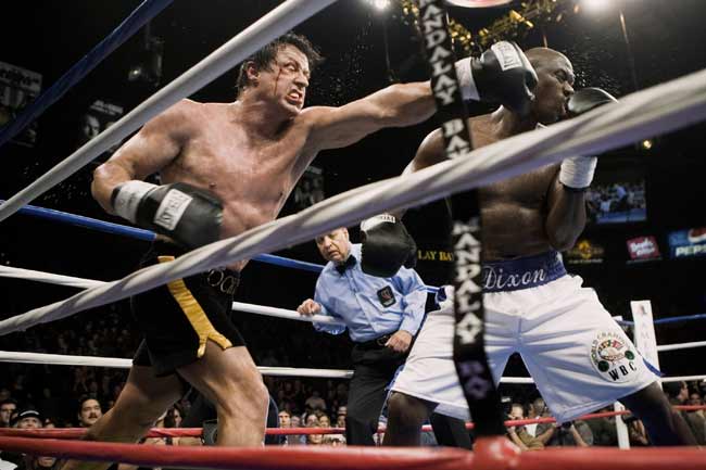 Rocky, en forma pese a su edad Rocky, en forma pese a su edad