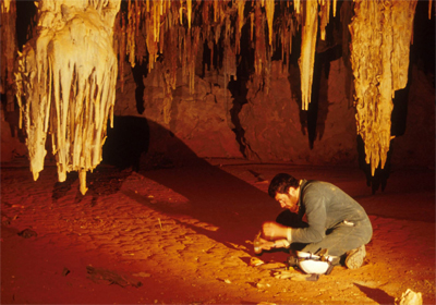 Paleontólogos en una cueva australiana Paleontólogos en una cueva australiana