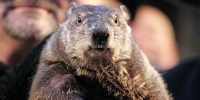 Hoy Es El D 237 A De La Marmota Phil Predice Que La