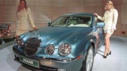 Jaguar Jaguar
