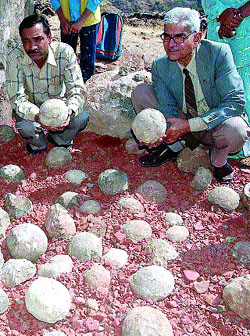 Huevos del Cretácico en la India Huevos del Cretácico en la India
