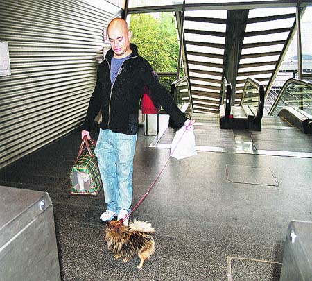 En Renfe sí te dejan llevar a tu perro En Renfe sí te dejan llevar a tu perro