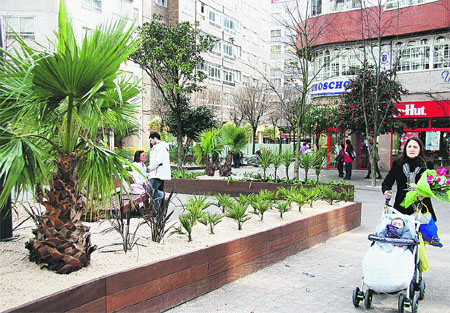 Praza da Independencia se convierte en un oasis con palmeras y piedras Praza da Independencia se convierte en un oasis con palmeras y piedras