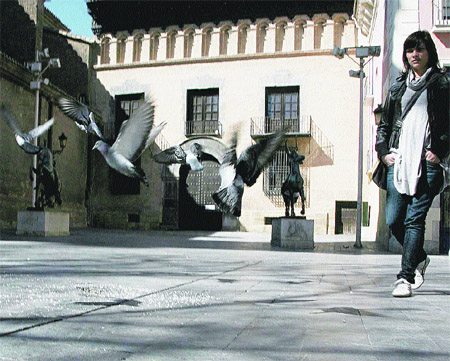 En Zaragoza sobran más de la mitad de las palomas En Zaragoza sobran más de la mitad de las palomas