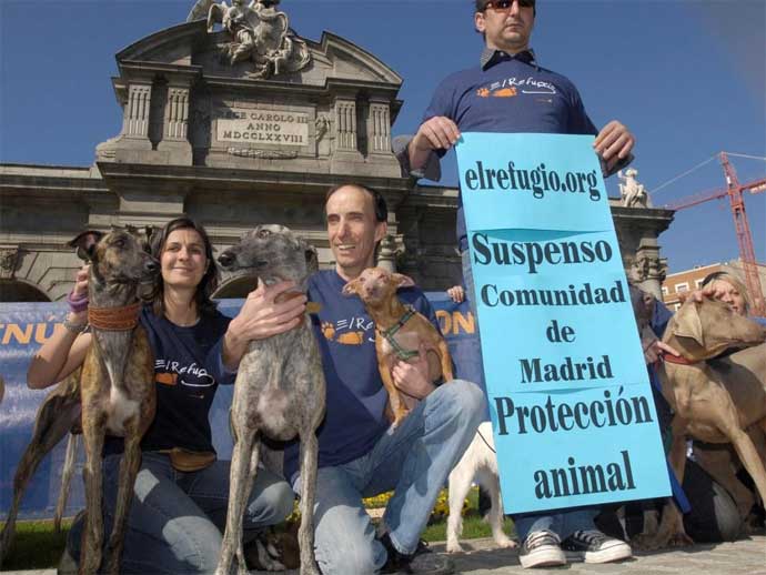 Suspenso a la Comunidad de Madrid en protección animal Suspenso a la Comunidad de Madrid en protección animal