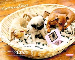 mascotas mascotas