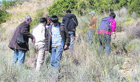 Escolares ayudan a recuperar el bosque Escolares ayudan a recuperar el bosque