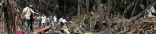 Labores de búsqueda