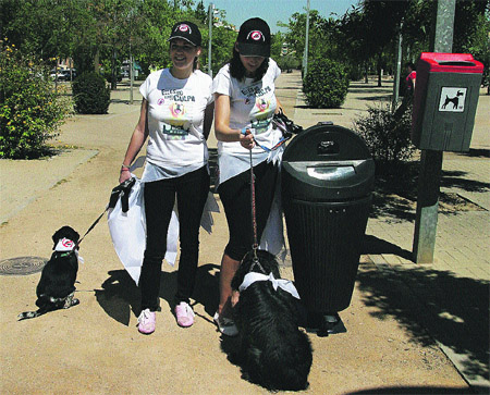 Las cacas de perro en las calles se reducen a la mitad Las cacas de perro en las calles se reducen a la mitad