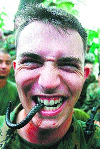 Aprendizaje en la selva Aprendizaje en la selva