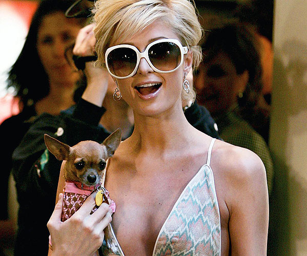 Paris Hilton Paris Hilton