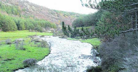 La sal y la sombra del románico La sal y la sombra del románico
