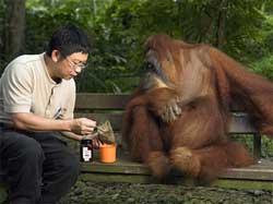 Zoo de Singapur Zoo de Singapur