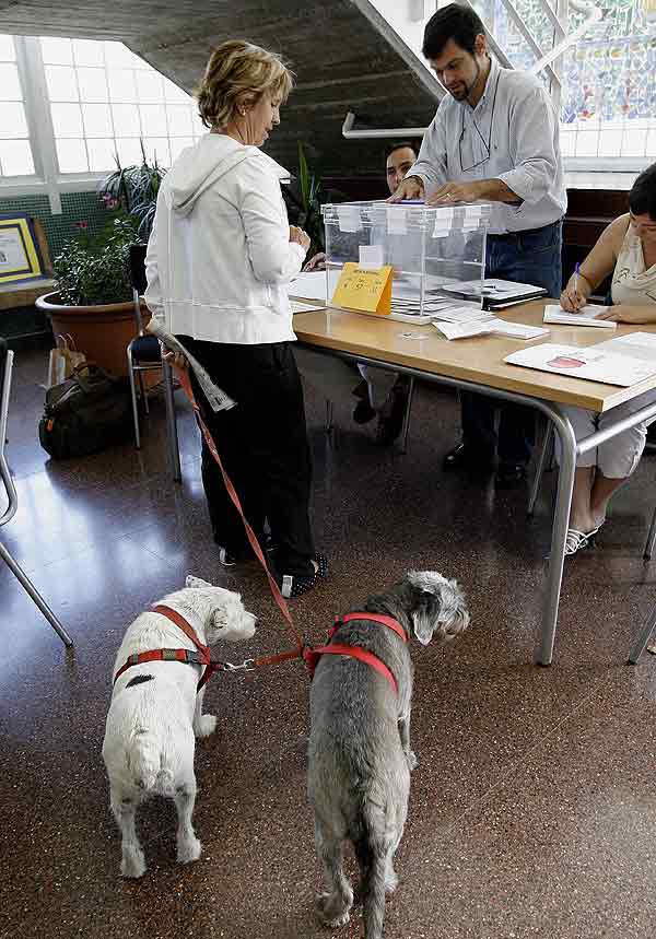 Votante con perro Votante con perro