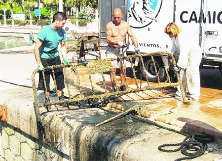 Limpian la aguas del puerto y sacan 130 carros del súper Limpian la aguas del puerto y sacan 130 carros del súper