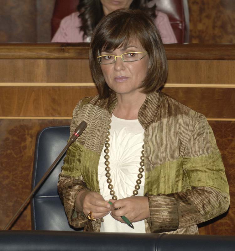 Carmen Calvo, en el Congreso Carmen Calvo, en el Congreso