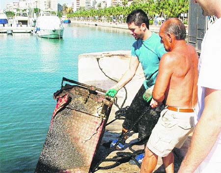 Carritos del ‘botellón’ al puerto Carritos del ‘botellón’ al puerto