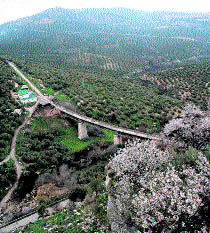 Una ruta entre pueblos y olivos Una ruta entre pueblos y olivos
