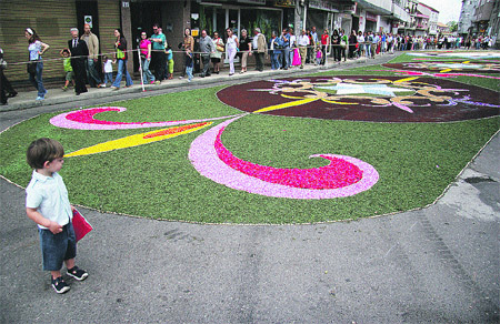 10.000 metros cubiertos de flores 10.000 metros cubiertos de flores