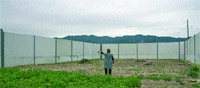 Urbanismo dicta que el muro de Latbus es legal y que quita ruidos Urbanismo dicta que el muro de Latbus es legal y que quita ruidos