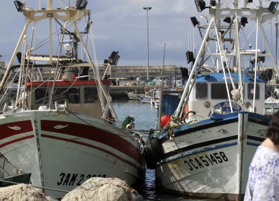 barcos barbate barcos barbate