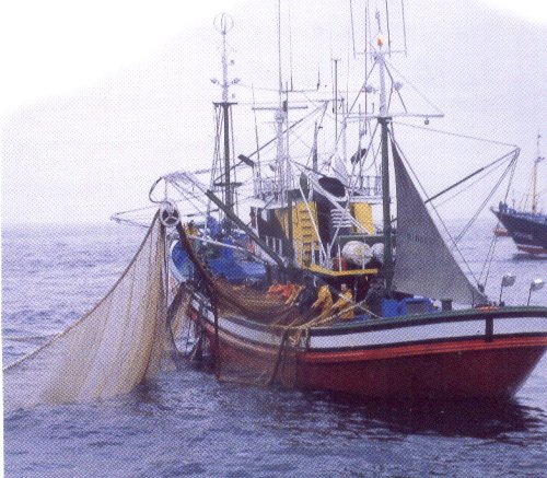 Embarcación de palangre Embarcación de palangre