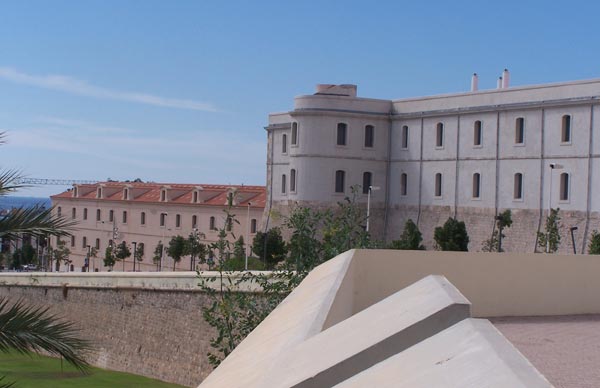 universidad universidad