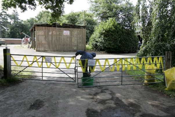 Fiebre aftosa en Reino Unido Fiebre aftosa en Reino Unido