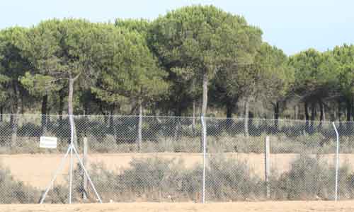 Vallado Doñana Vallado Doñana