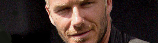 David Beckham David Beckham