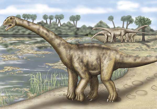 El turiasaurius, el dinosauro más grande de Europa El turiasaurius, el dinosauro más grande de Europa