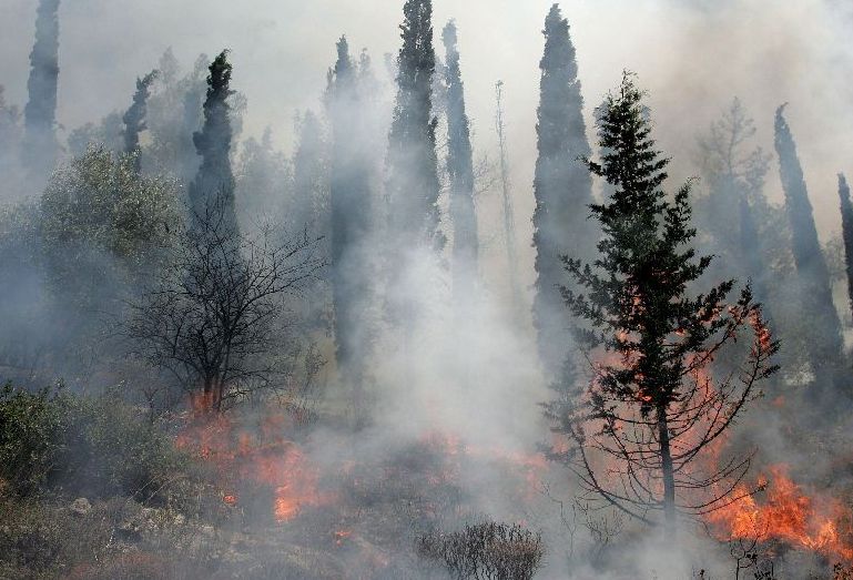 Incendios intencionados sin mala intención Incendios intencionados sin mala intención