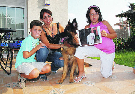 Deja su perro en un hotel canino y se lo pierden Deja su perro en un hotel canino y se lo pierden