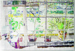 La ciudad, inmensa galería La ciudad, inmensa galería