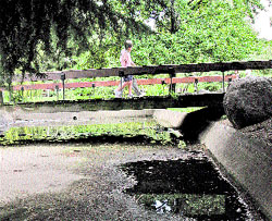 Un parque con río, pero sin agua Un parque con río, pero sin agua