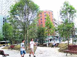 La plaza de Zabalburu se convierte en un bosque y sólo faltan nuevas farola La plaza de Zabalburu se convierte en un bosque y sólo faltan nuevas farola