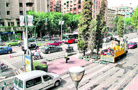 Los arbustos del bulevar se replantarán: ya están secos Los arbustos del bulevar se replantarán: ya están secos