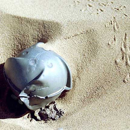 Bomba de racimo Bomba de racimo