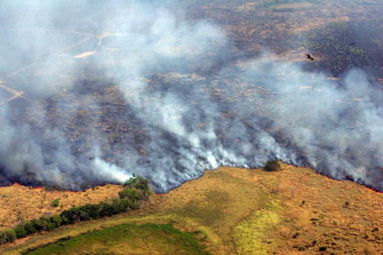 Incendios en Paraguay Incendios en Paraguay