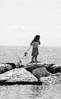El móvil, el perro y el mar El móvil, el perro y el mar