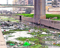 Nueva semana con el río como una pocilga Nueva semana con el río como una pocilga