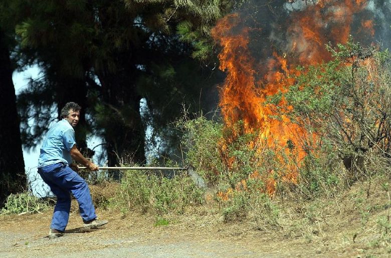 Los Incendios en Gran Canaria Los Incendios en Gran Canaria