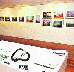 La Sala de la Muralla del Rectorado de Málaga muestra una recopilación de fotografías hechas bajo el agua La Sala de la Muralla del Rectorado de Málaga muestra una recopilación de fotografías hechas bajo el agua
