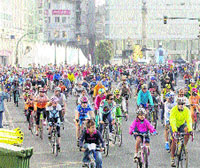 La bici, reina de las calles La bici, reina de las calles