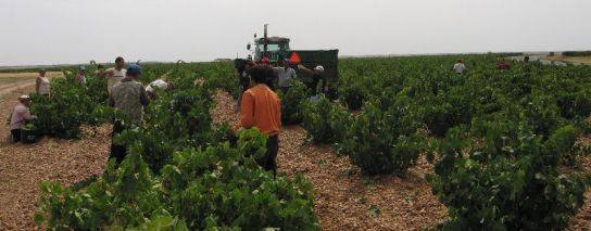 Trabajadores Inmigrantes Trabajadores Inmigrantes