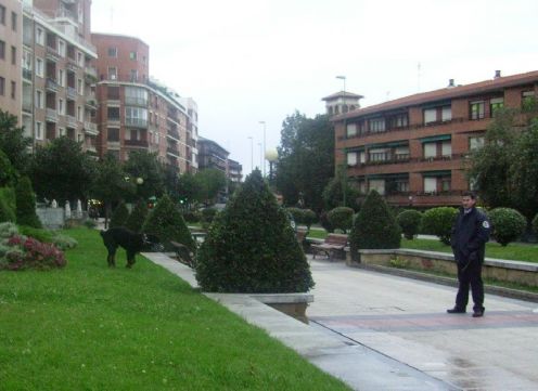 Perro de vigilantes en Algorta Perro de vigilantes en Algorta