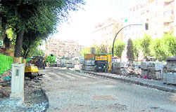 Las obras de Constitución siguen eliminando árboles Las obras de Constitución siguen eliminando árboles